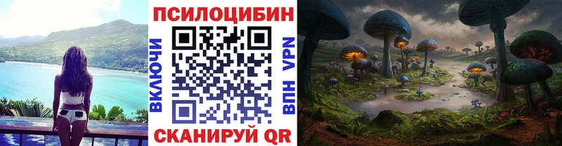 Галлюциногенные грибы GOLDEN TEACHER  купить   Кубинка 